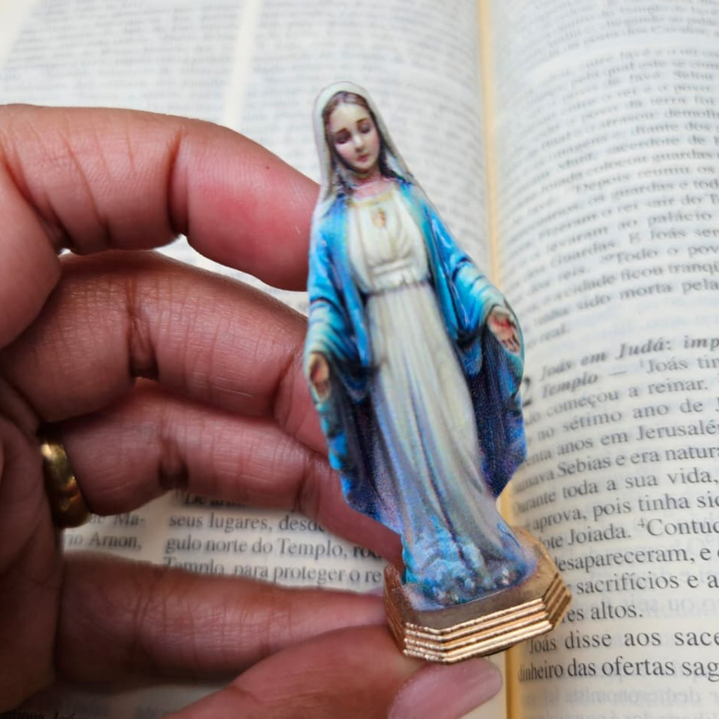Nossa Senhora das Graças Autocolante