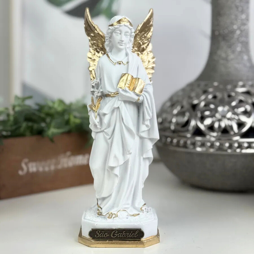 Imagem São Gabriel
