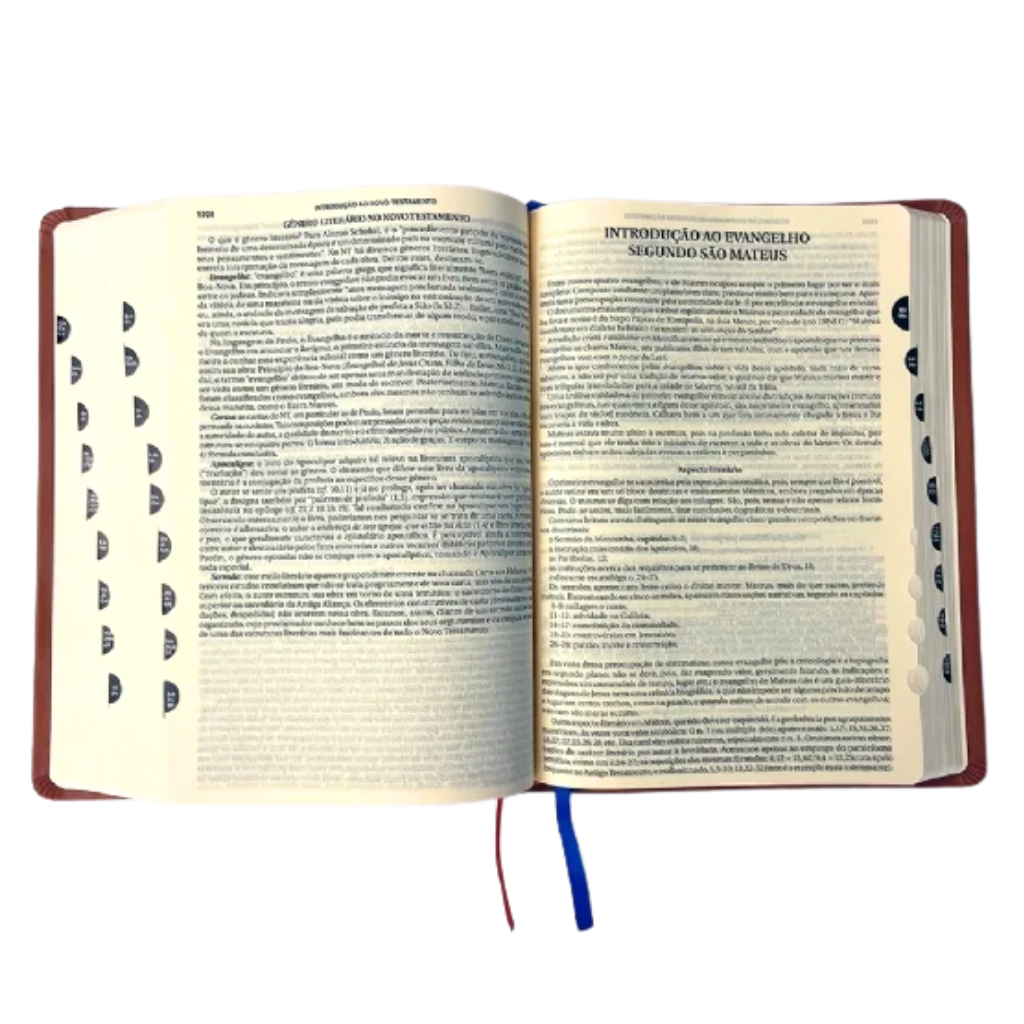 Ave Maria Bible - Study Edition