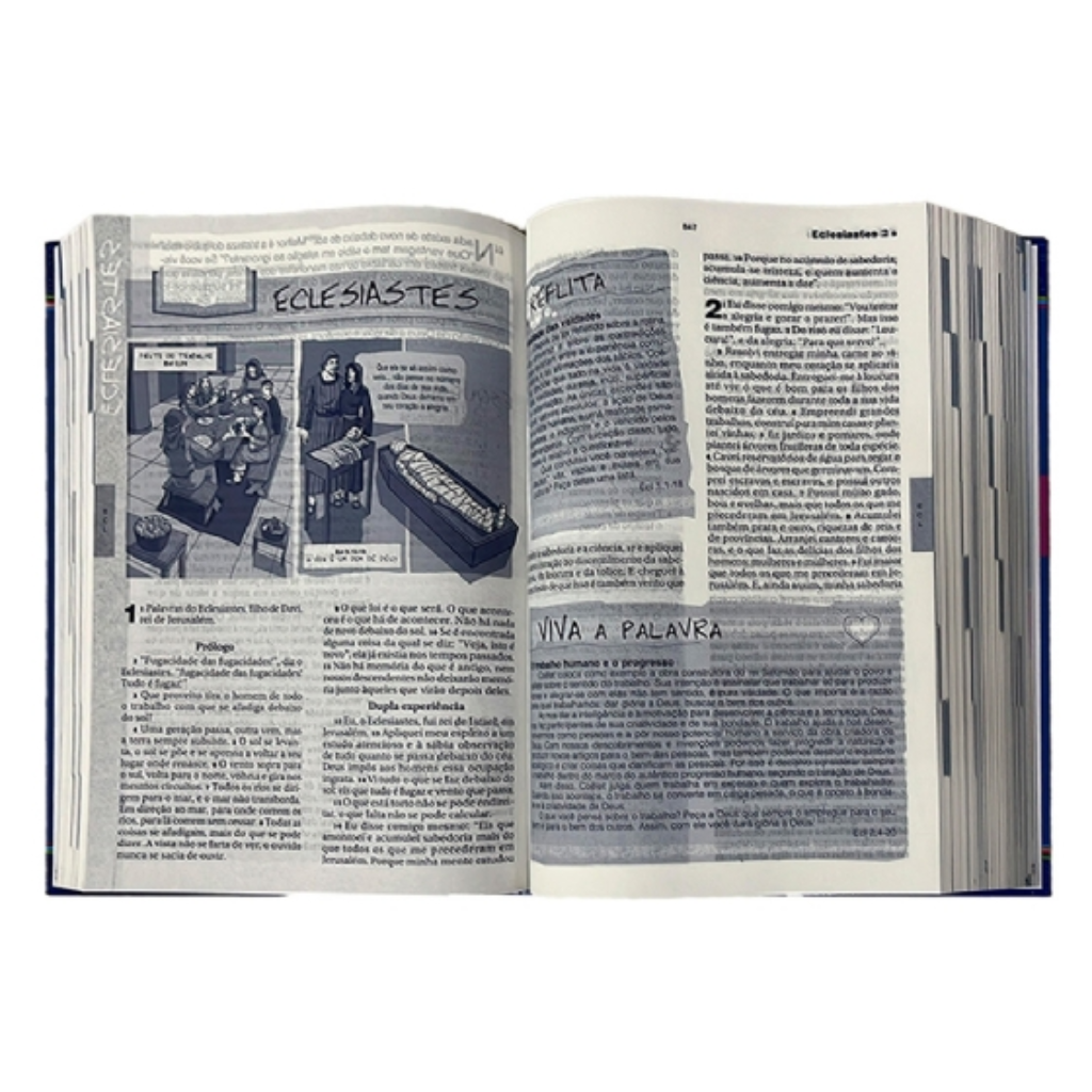 Livro Bíblia Católica do Jovem - Ave Maria