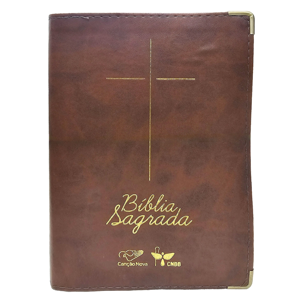 Holy Bible - Luxury Brown Cover
