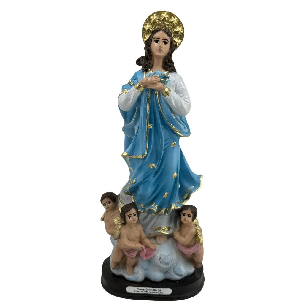 Image of Our Lady of the Immaculate Conception