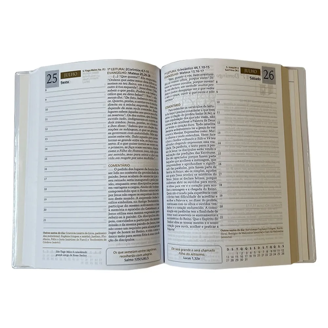 Bible Diary 2026 with illustrated cover and daily gospel.