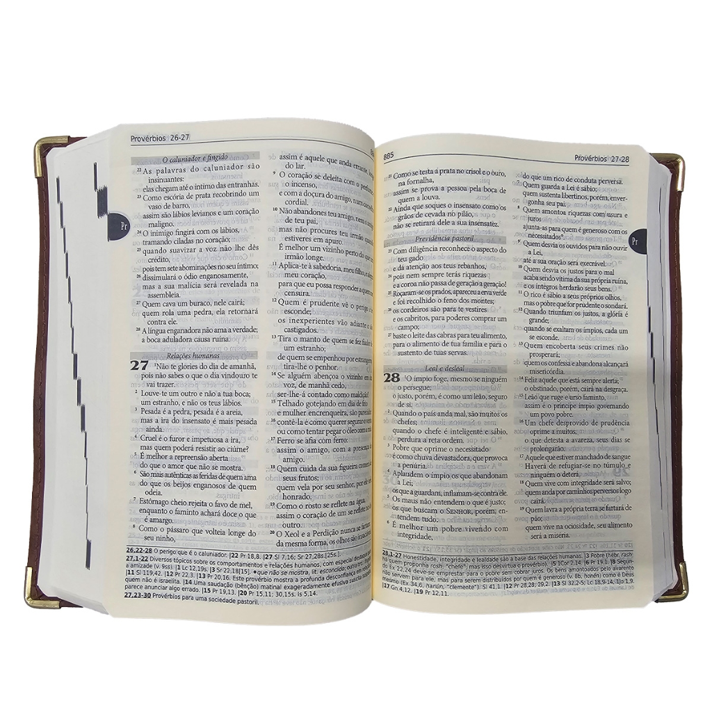 Holy Bible - Luxury Brown Cover