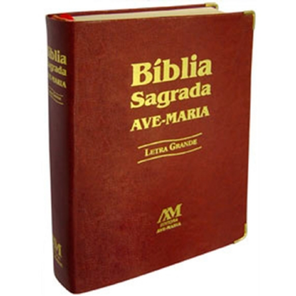 Large Print Bible - Brown