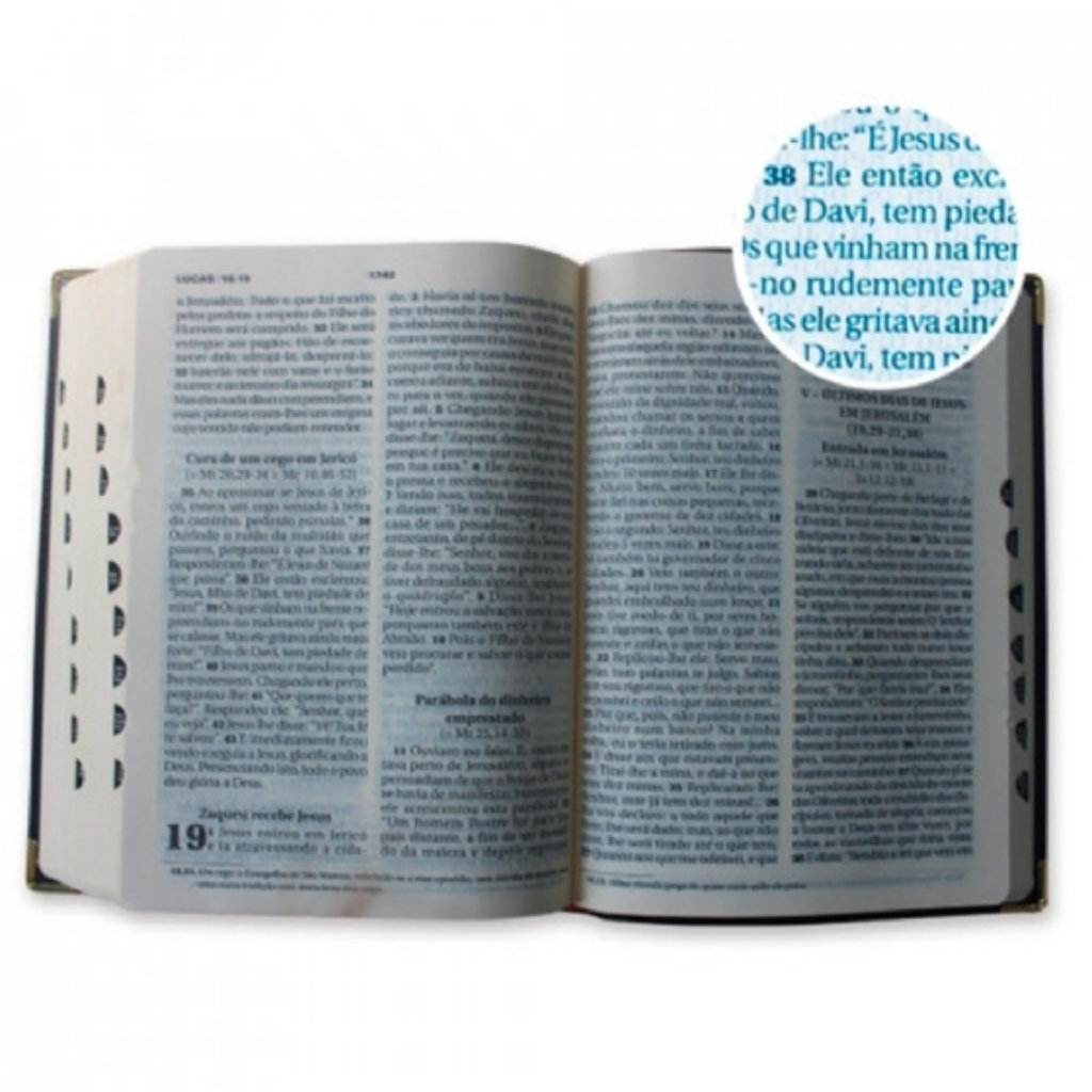 Large Print Bible - Brown