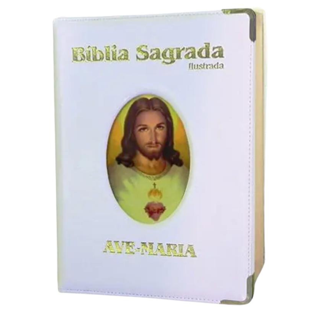 Large Deluxe Illustrated Bible