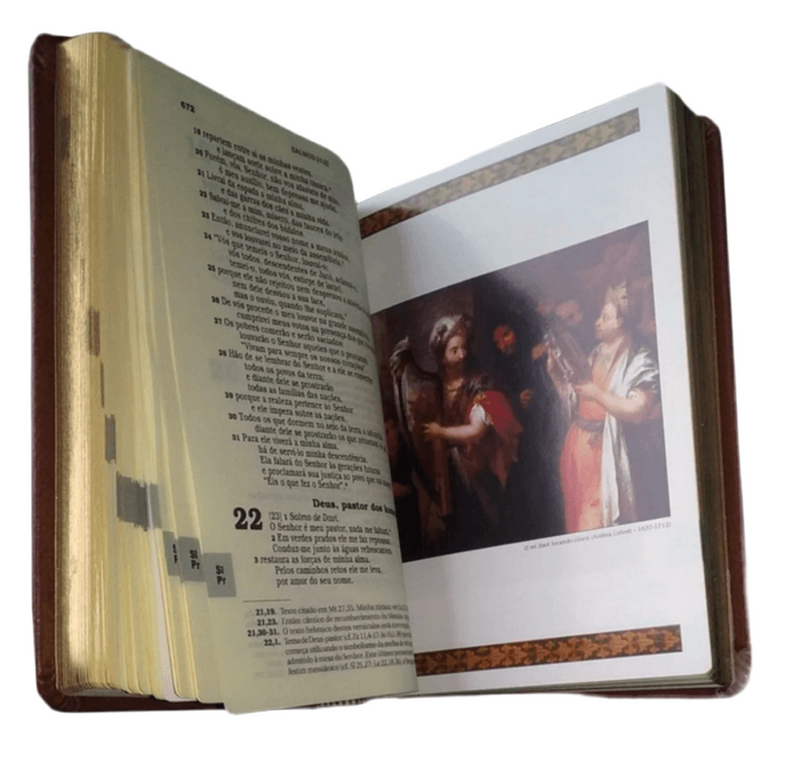 Deluxe Illustrated Bible - Medium - Brown