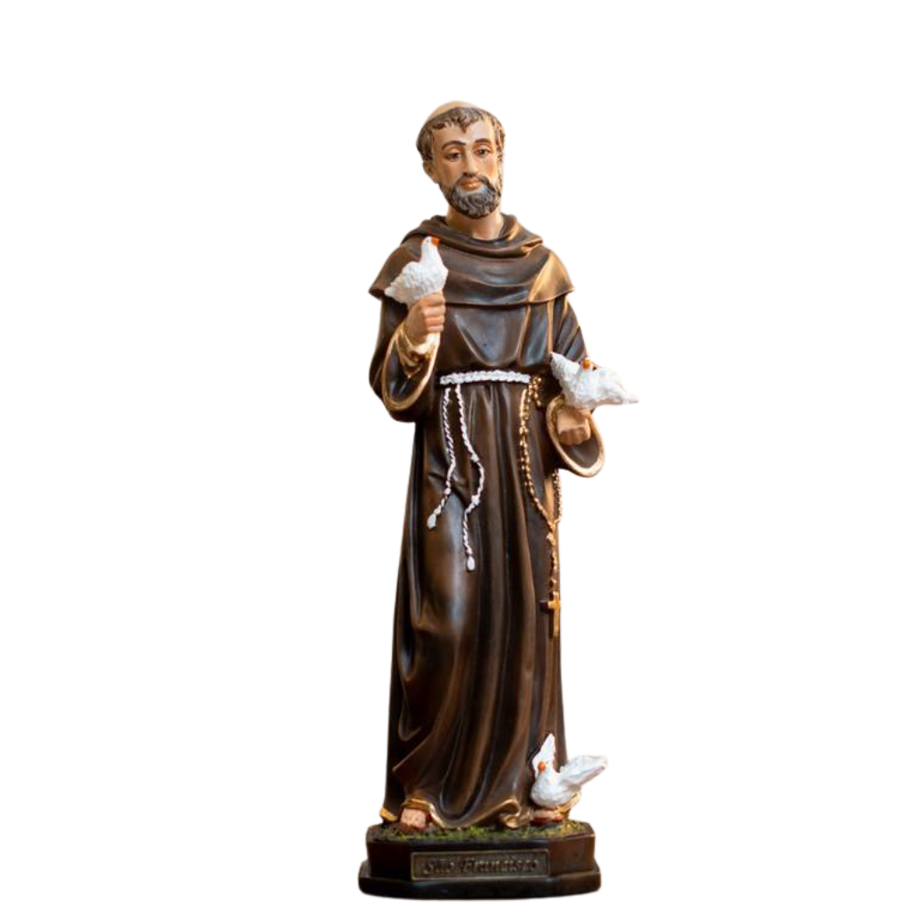 São Francisco 20cm Resina