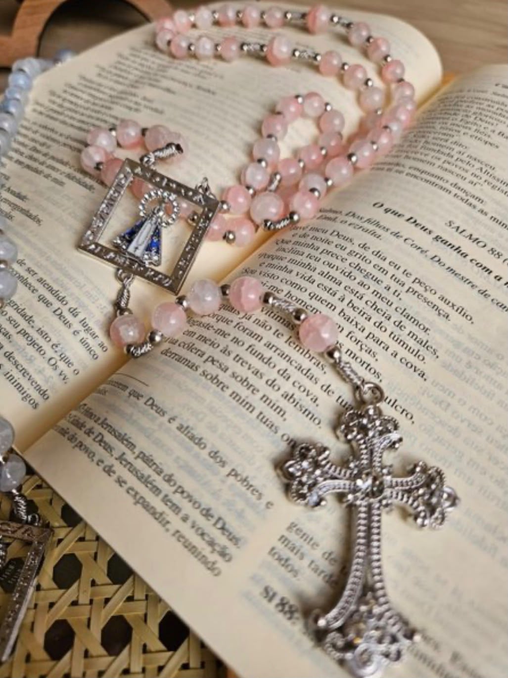 Terco Mescla Rosa Nossa Senhora Aparecida