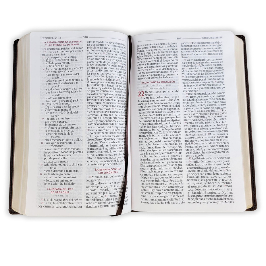 Sagrada Biblia Tamaño Personal, Biblia de América