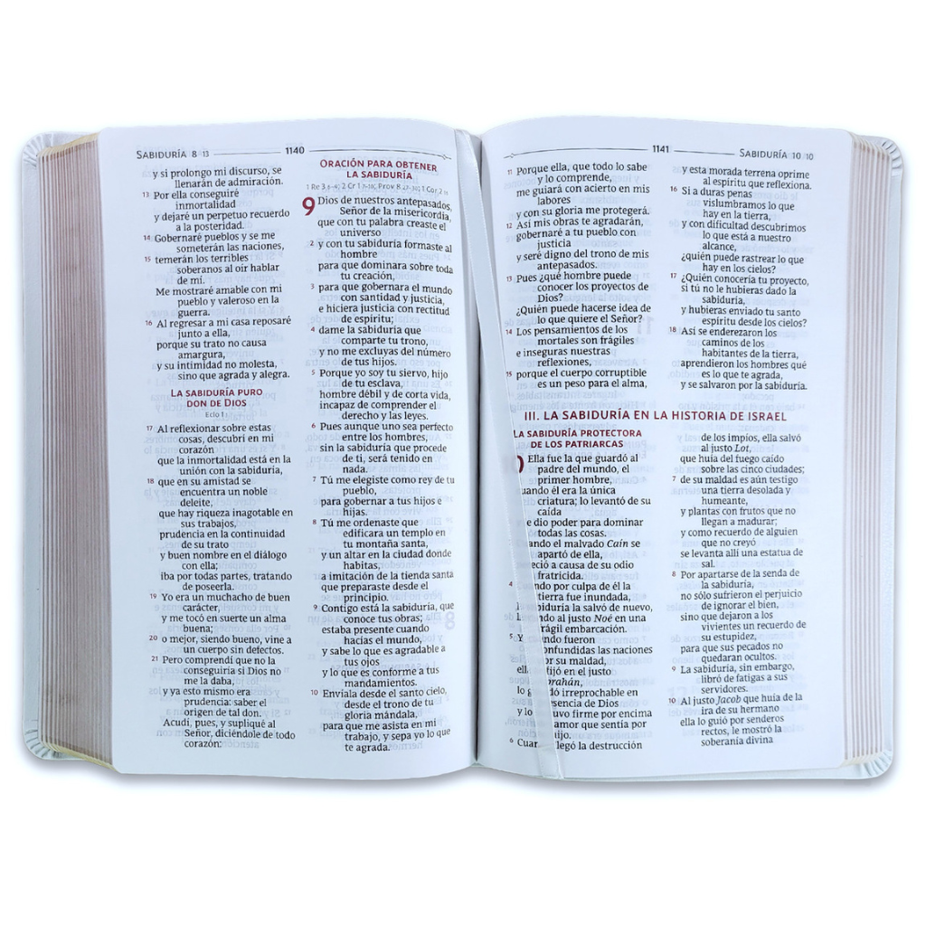 Sagrada Biblia