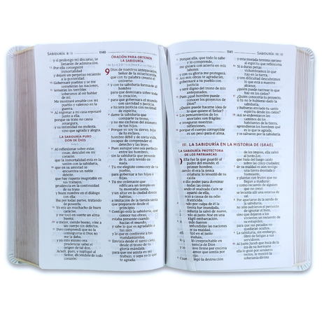 Sagrada Biblia
