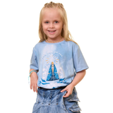 Camiseta Nossa Senhora Aparecida