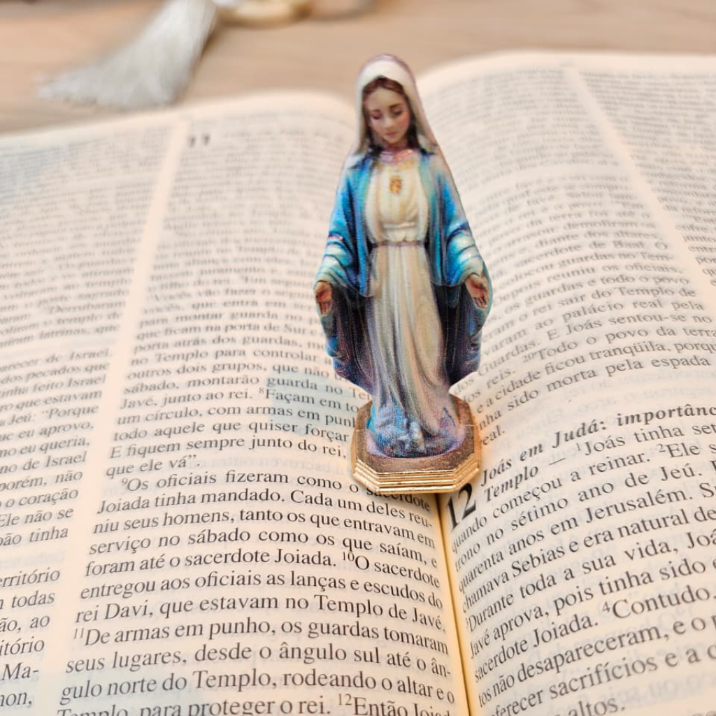 Nossa Senhora das Graças Autocolante