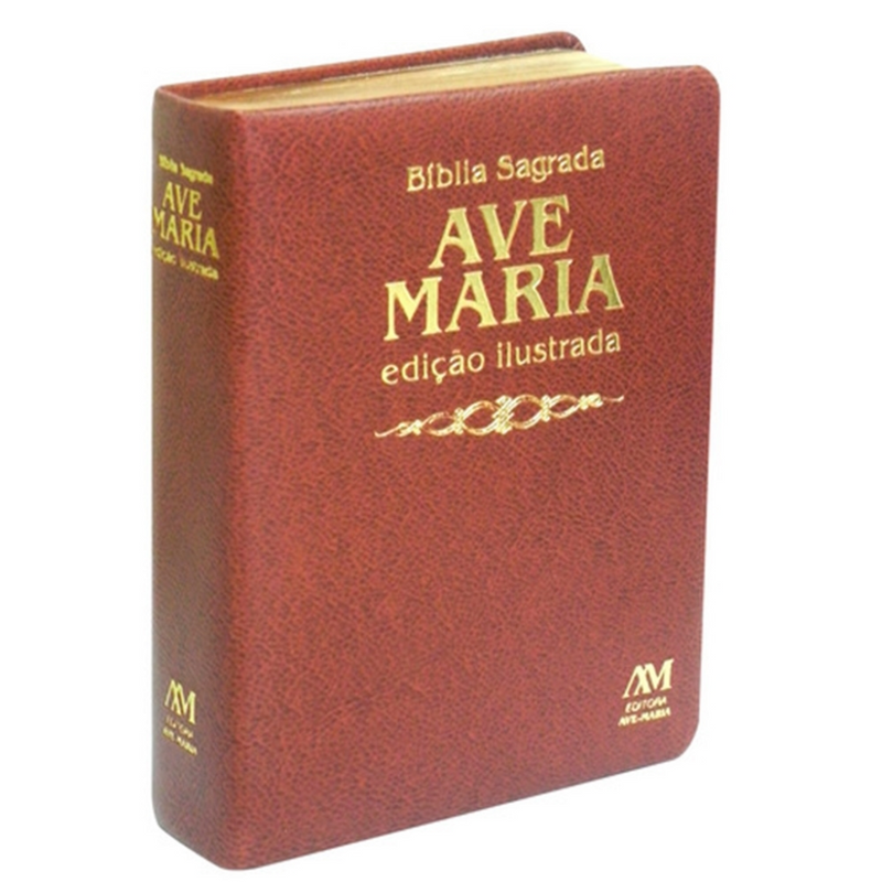 Deluxe Illustrated Bible - Medium - Brown