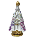 Personalized Our Lady of Aparecida Image