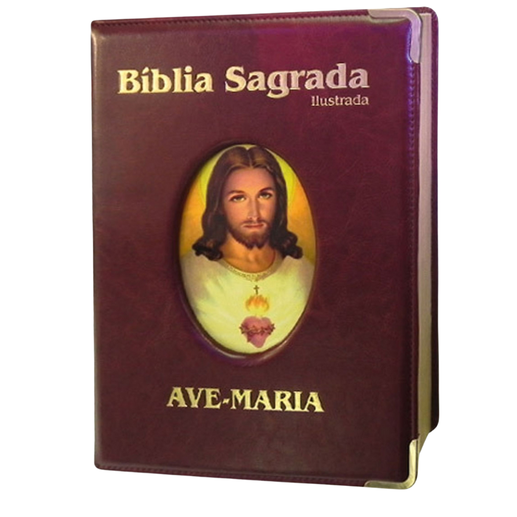 Large Deluxe Illustrated Bible