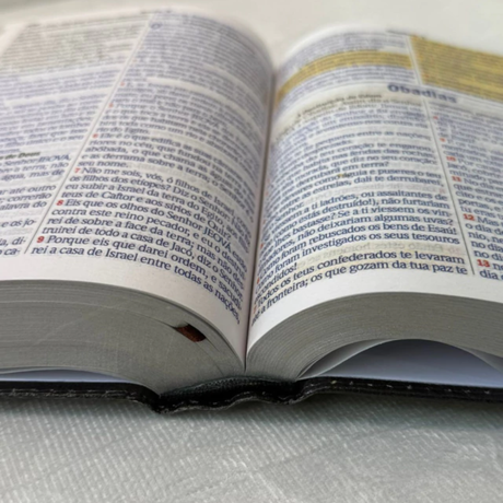 Holy Bible - Revival Harp and Hymns