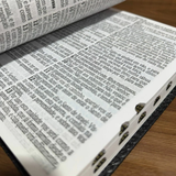 Holy Bible, Jumbo Print, Christian Harp