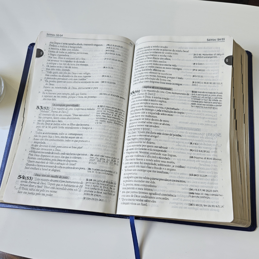 Luxury Blue Bible - Large Print