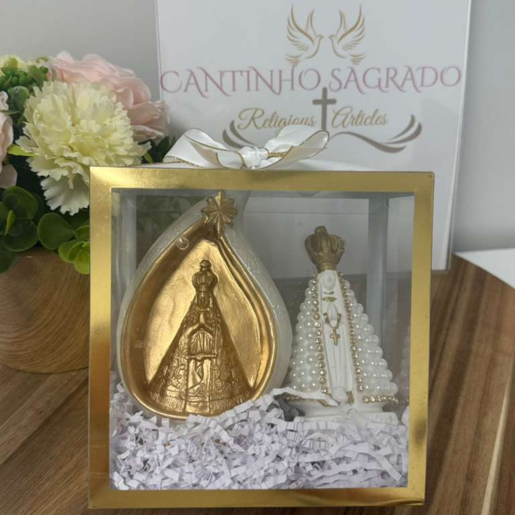 Kit N. Sra. Aparecida – Edição Especial