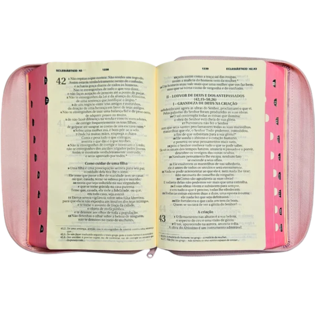Holy Bible Hail Mary Large Print - Zipper