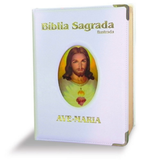 Illustrated Luxury Bible - Large - White