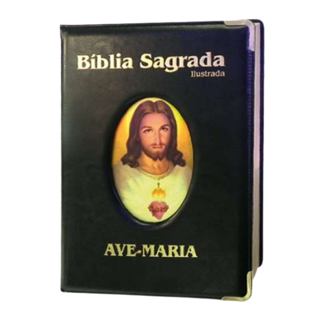 Illustrated Large Black Luxury Bible