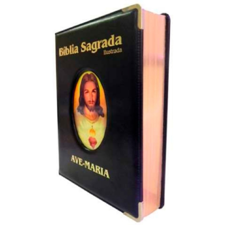 Biblia Ilustrada Lujo Grande Negra