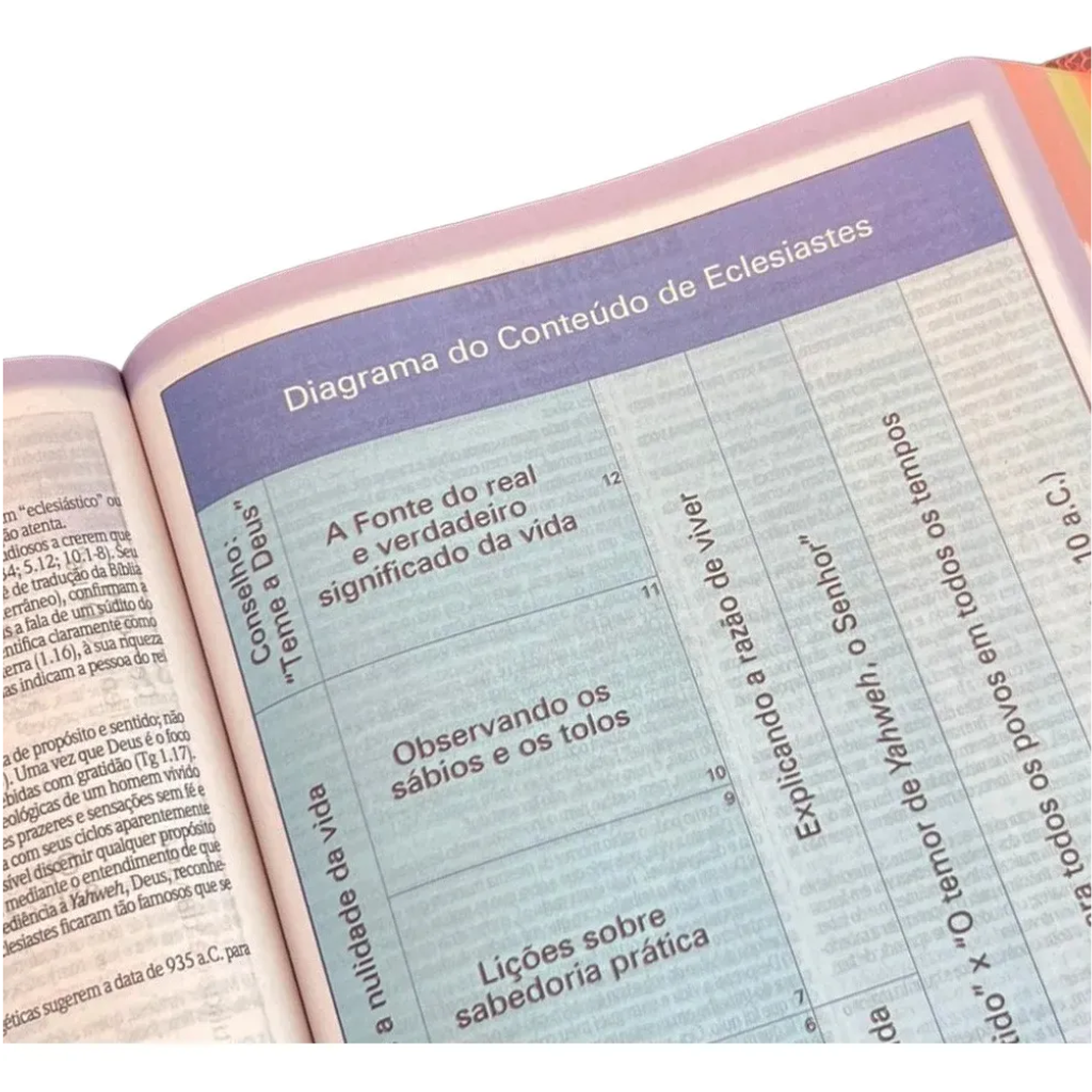 Biblia de Estudio King James