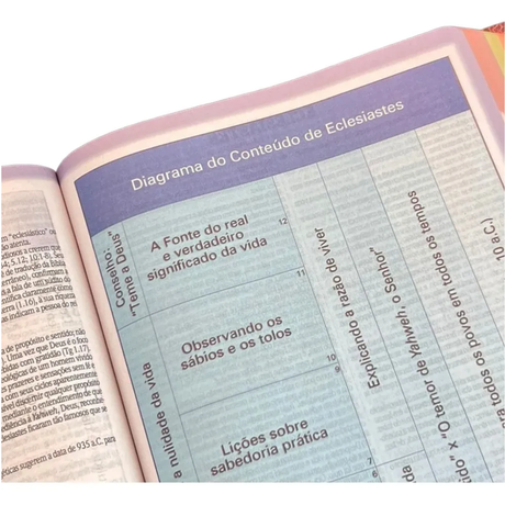 Biblia de Estudio King James