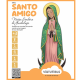 Meu Santo Amigo Nossa Senhora de Guadalupe