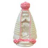 Imagem de N. S. Aparecida Baby