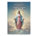 Book Marian Apparitions in Brazil 