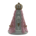 Image of NS Aparecida Baby