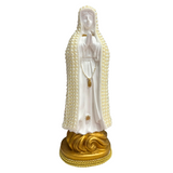 Personalized Our Lady of Aparecida Image