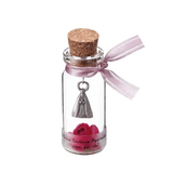 Lembrança Vidro Nossa Senhora Aparecida