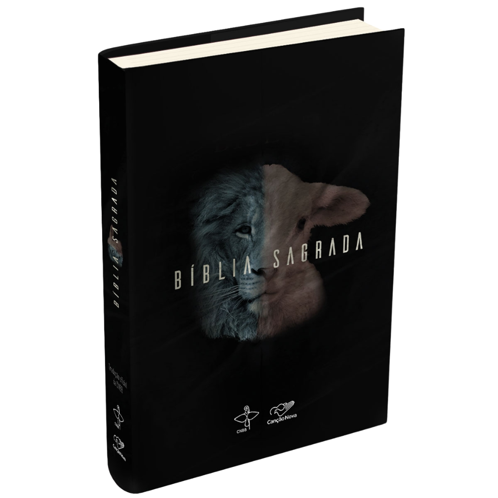 Holy Bible for Young People