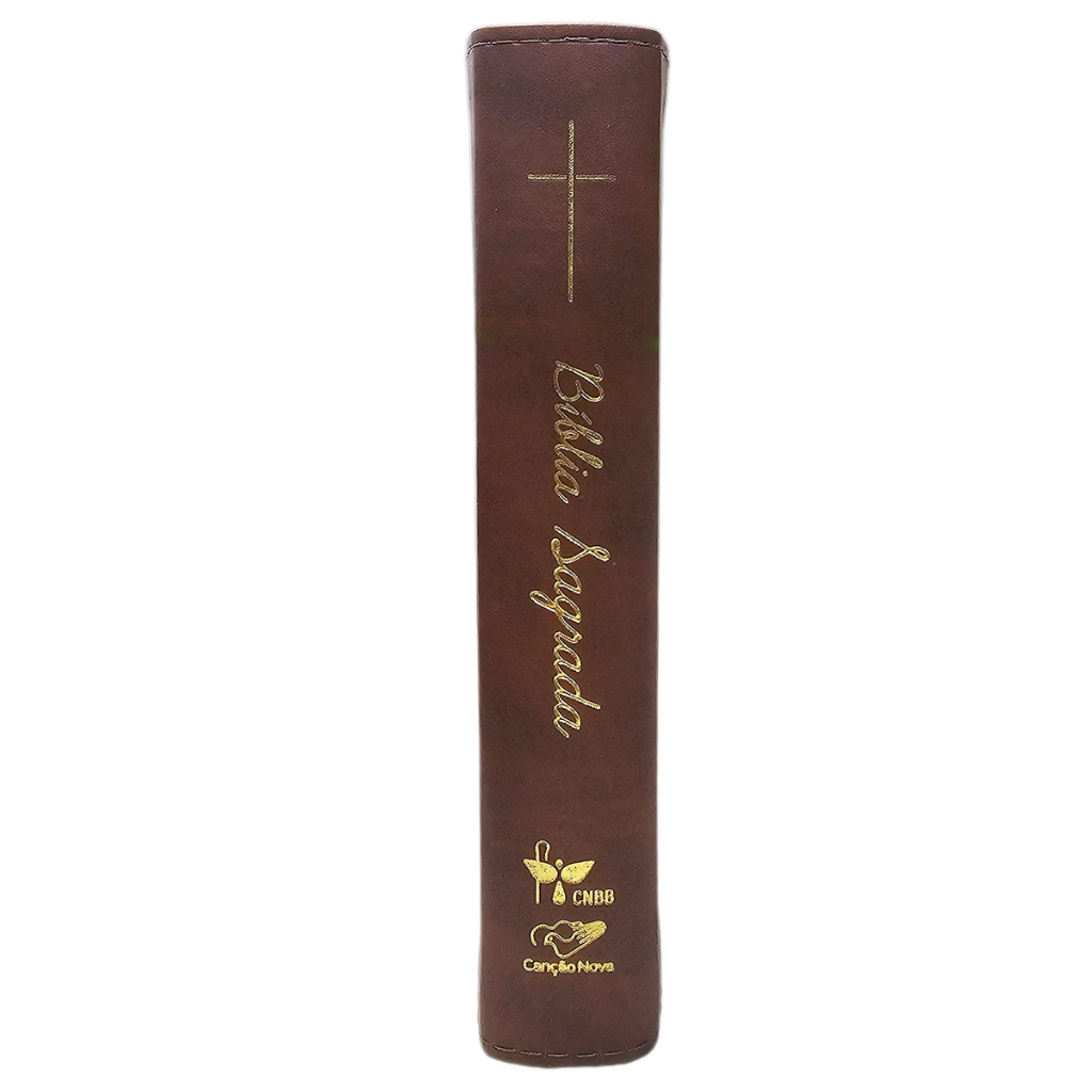 Holy Bible - Luxury Brown Cover