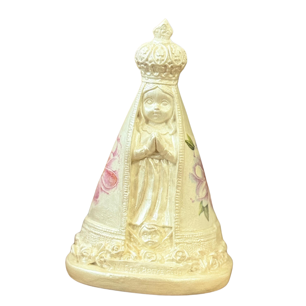 Image of NS Aparecida Baby