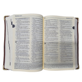 Holy Bible - Luxury Brown Cover