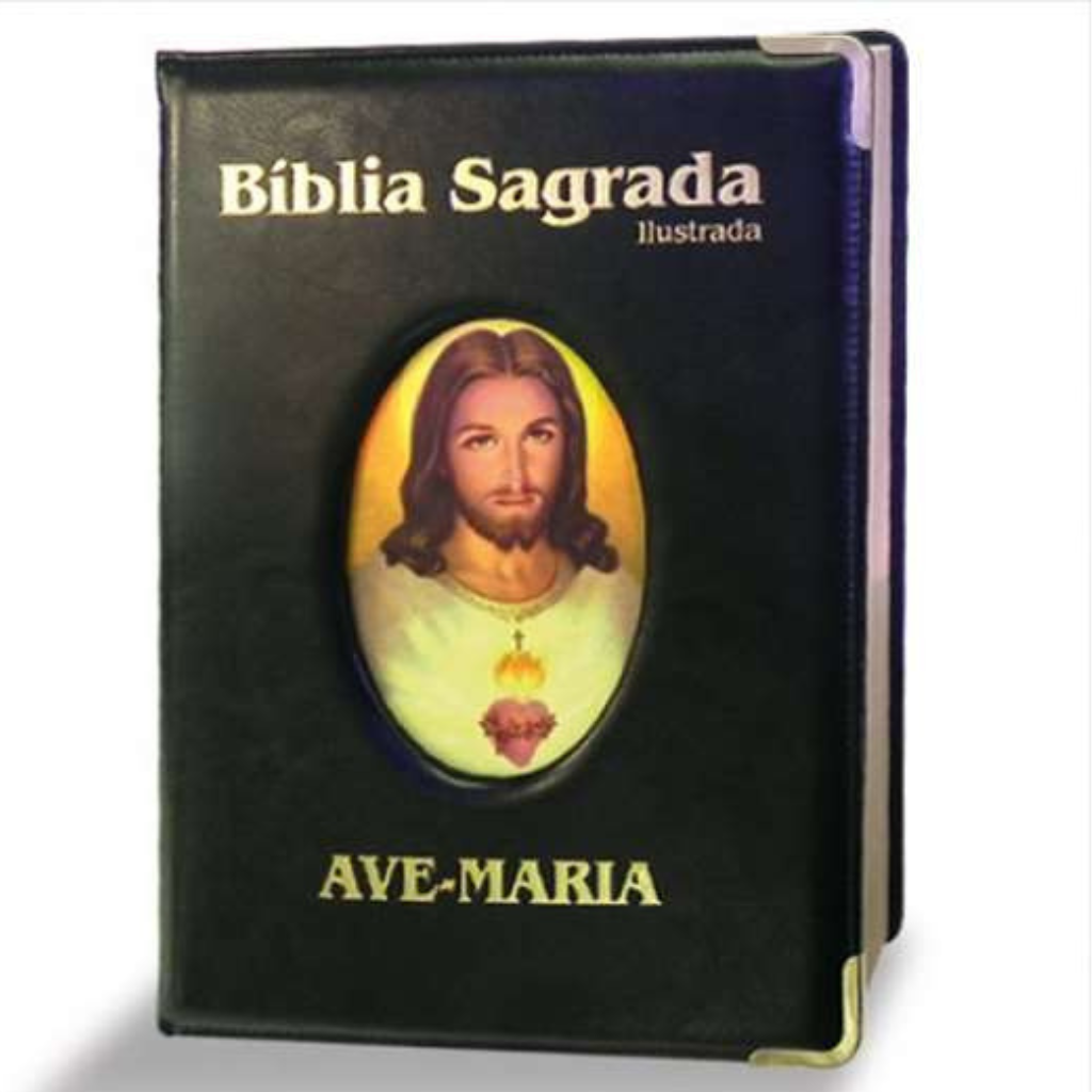 Large Deluxe Illustrated Bible