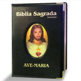 Large Deluxe Illustrated Bible