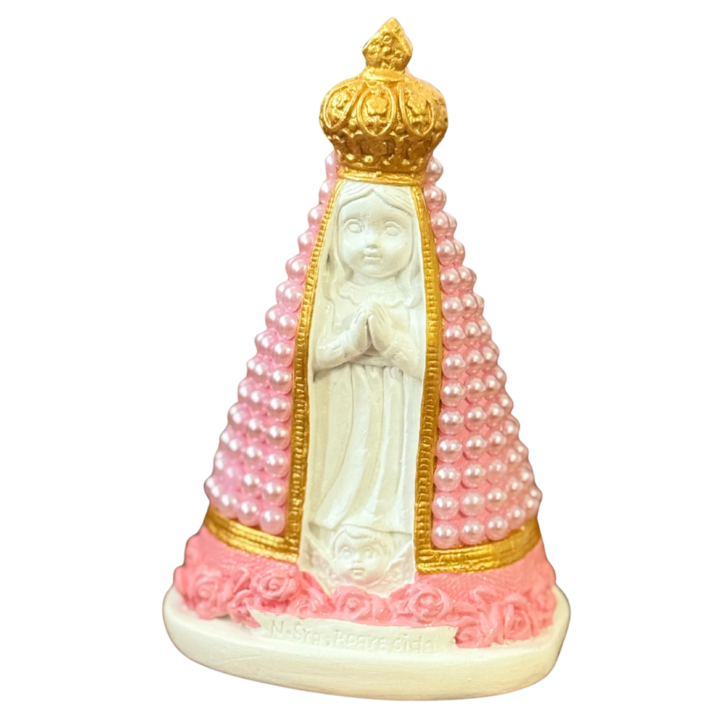 Image of NS Aparecida Baby
