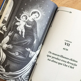 Treatise on True Devotion to the Blessed Virgin Mary - Hesed