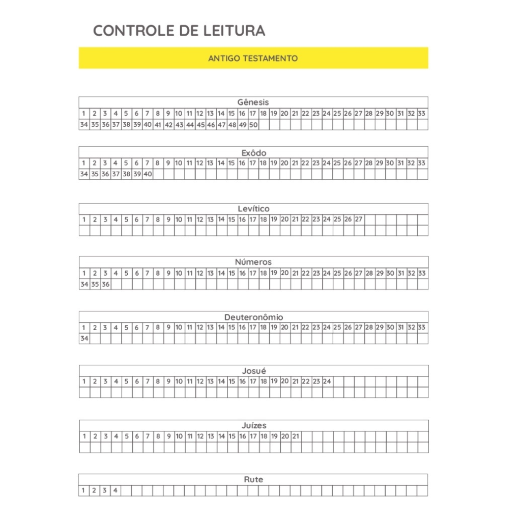 Planner Jovem