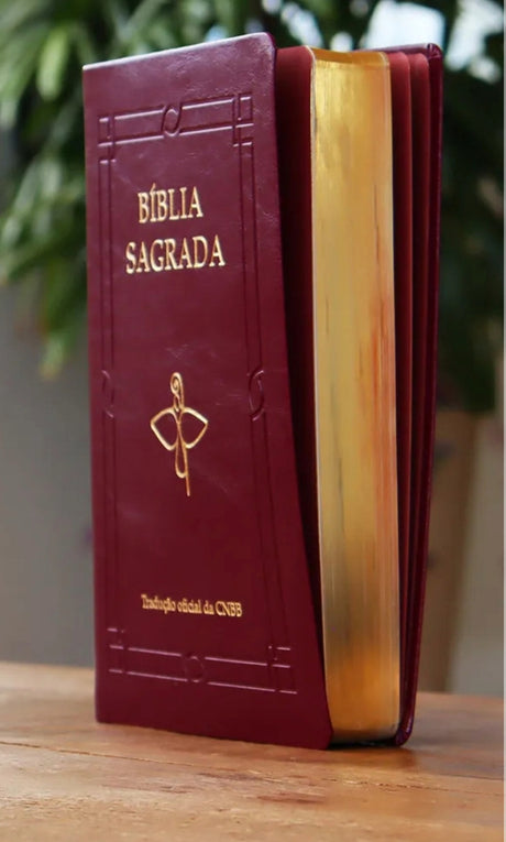 Luxury Bible Large Print - Wine