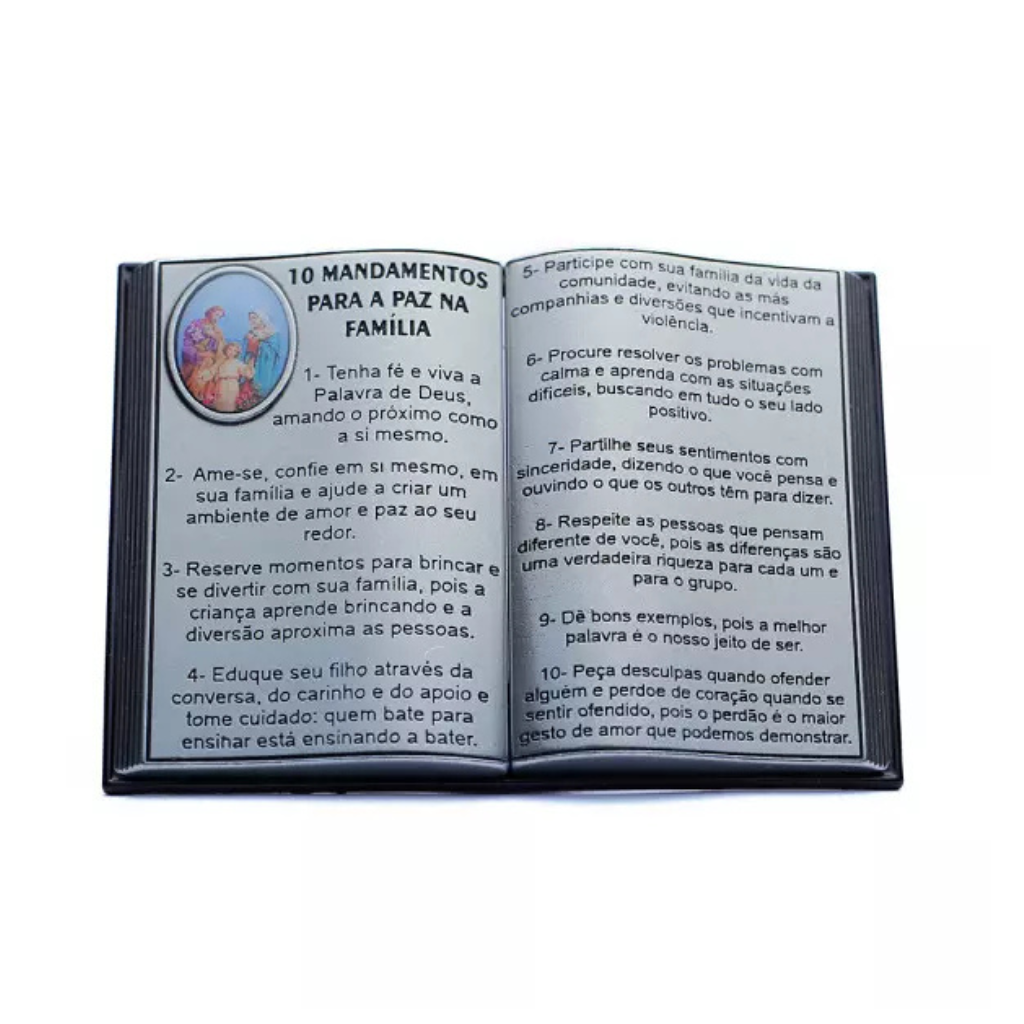 Bíblia com 10 Mandamentos para Paz na Família Prata Velha