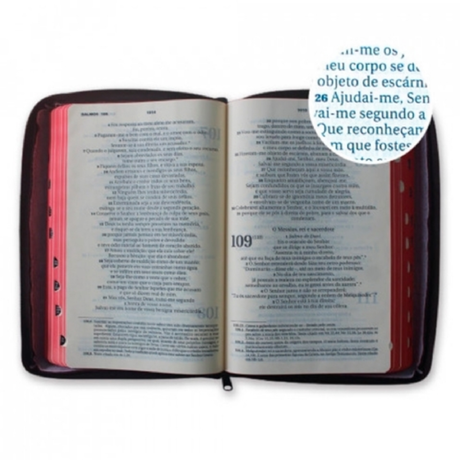 Bíblia Letra Maior Zíper - Marrom